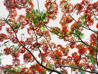 EA《钢铁侠》游戏将采用虚幻5引擎开发